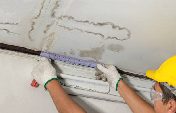 Reliable Flood Cleanup contractor in Frankston, TX by Water Damage Irwin